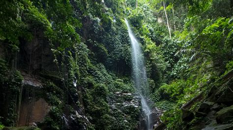   O Sungai Perak Pintando a História e a Natureza com Detalhes Refinados!